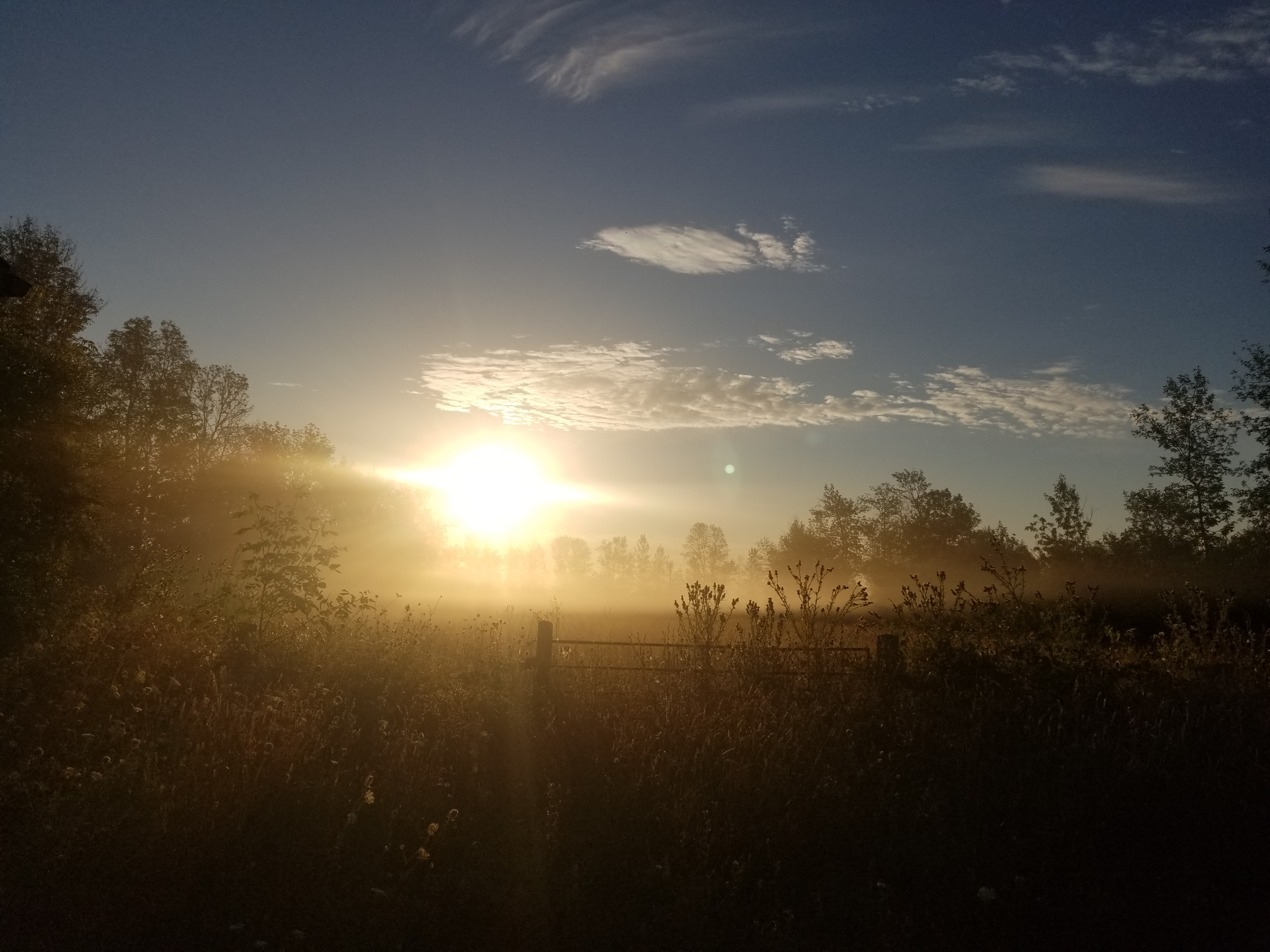 sunrise over field