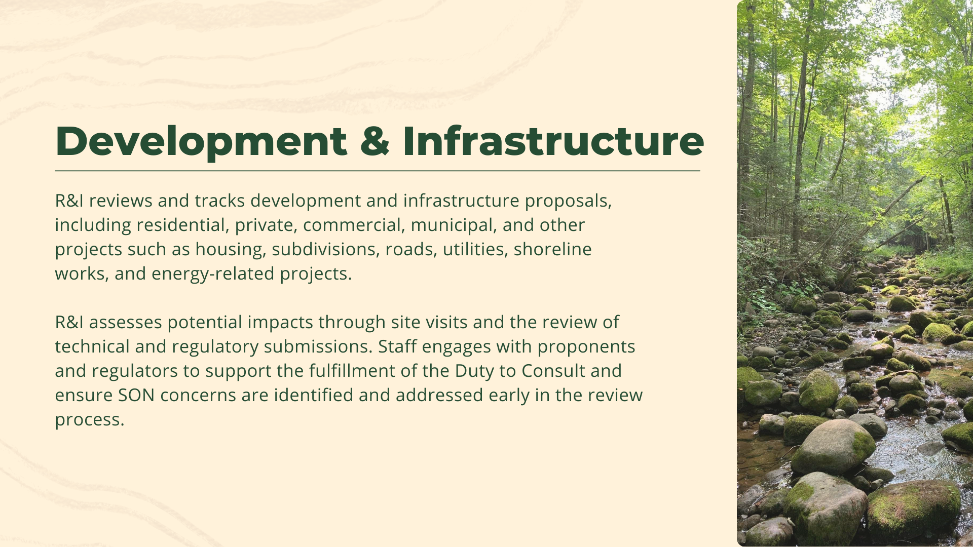 Development & Infrastructure