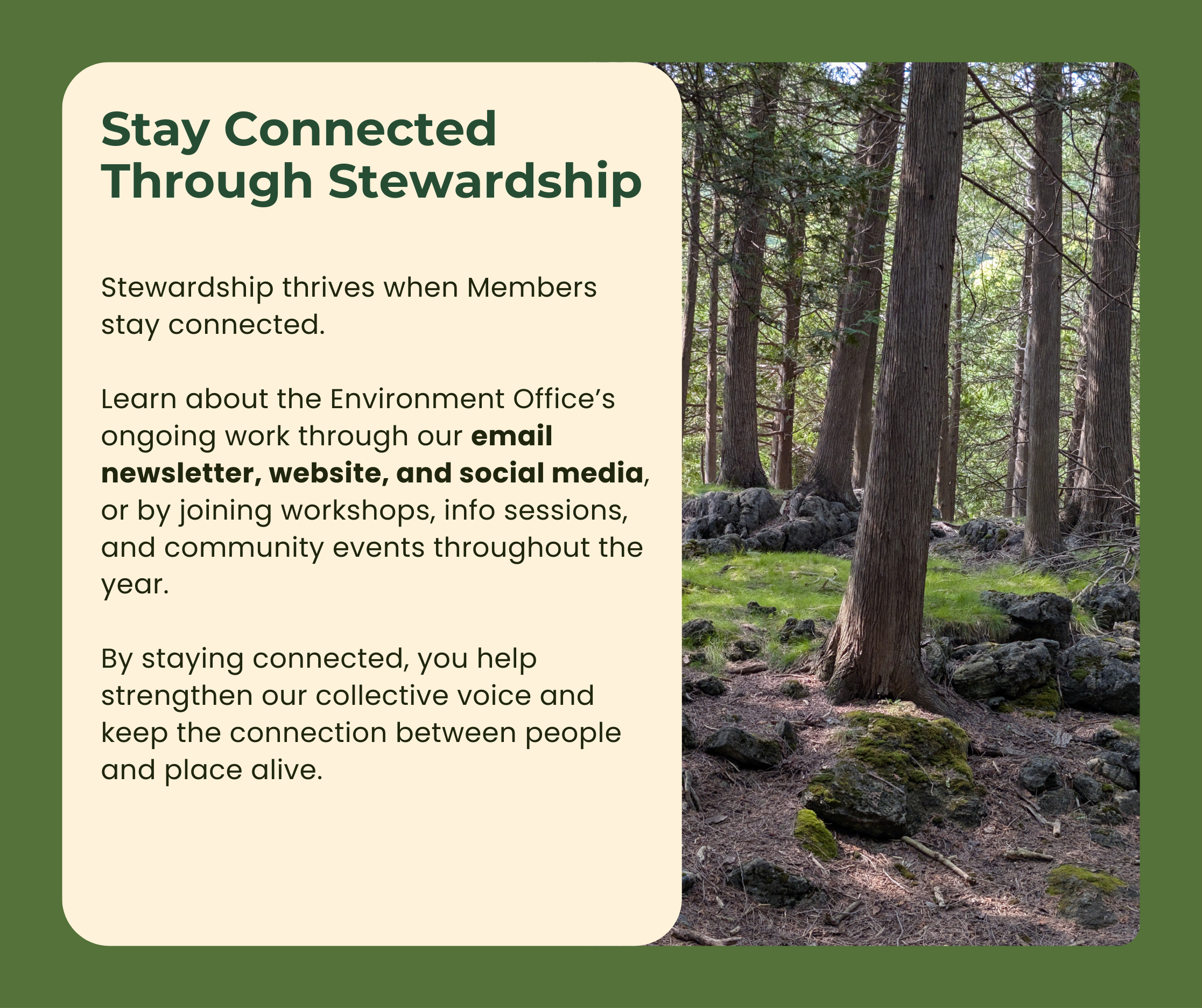 stewardship slide 6