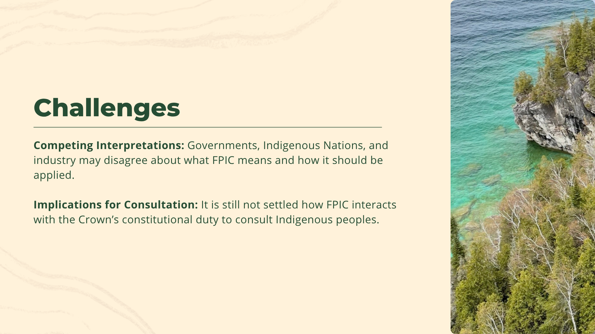FPIC 6