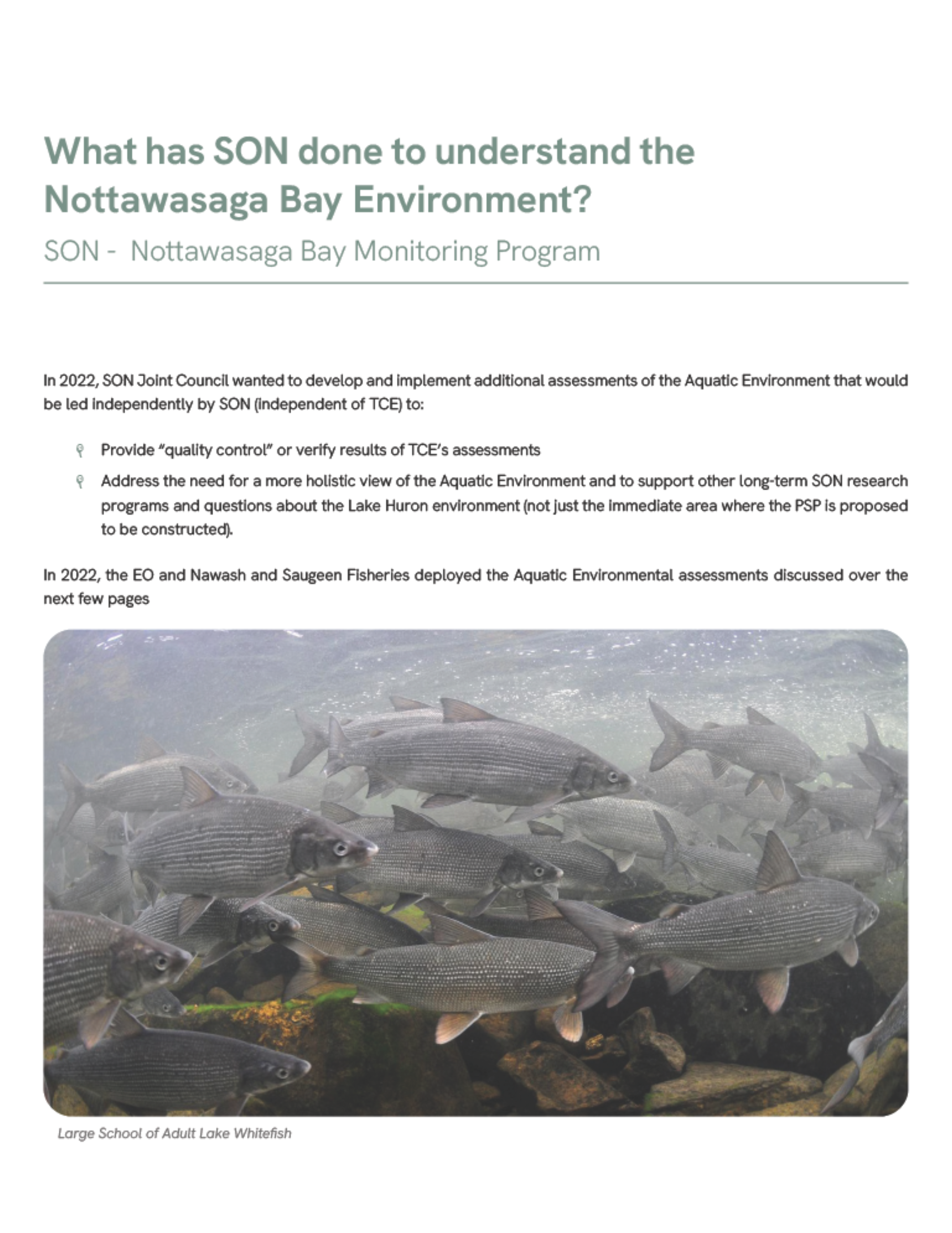 Nottawasaga Bay environment