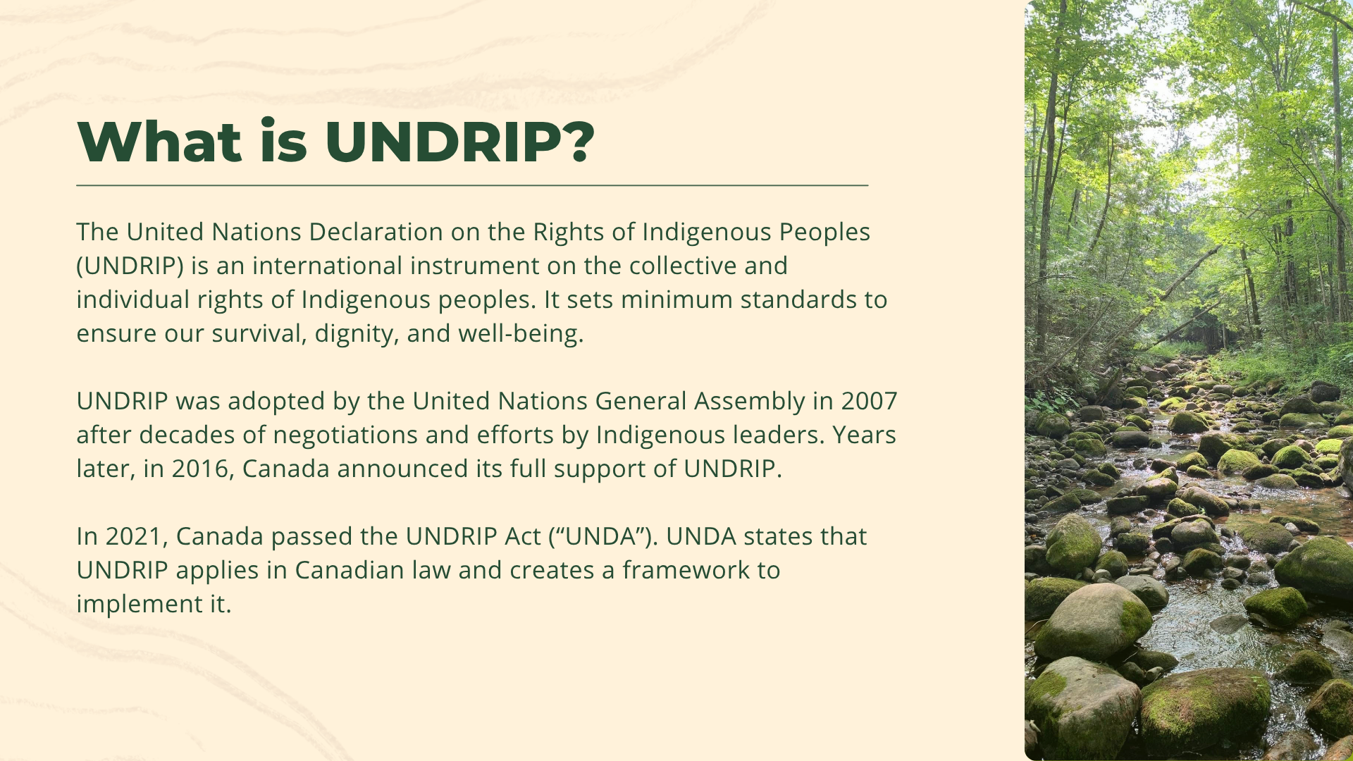 UNDRIP 2