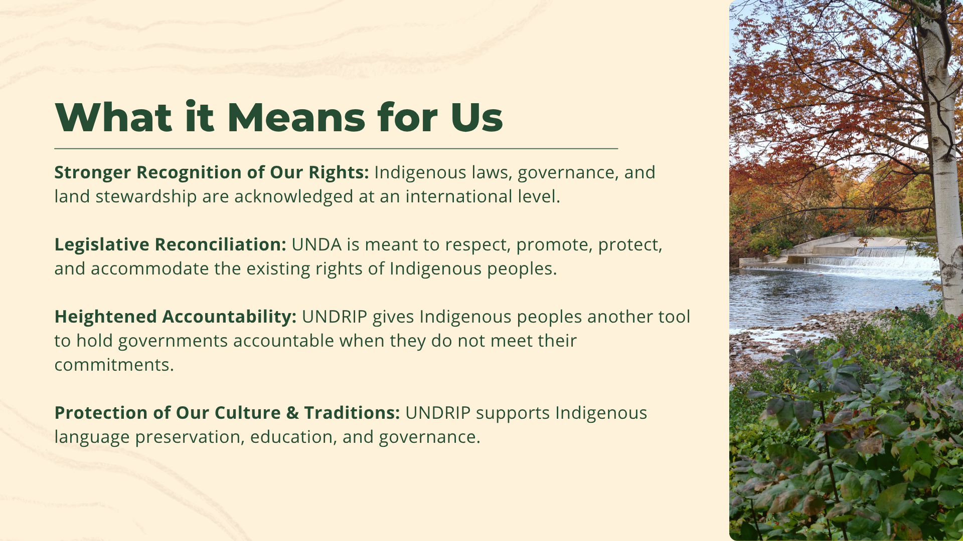 UNDRIP 4