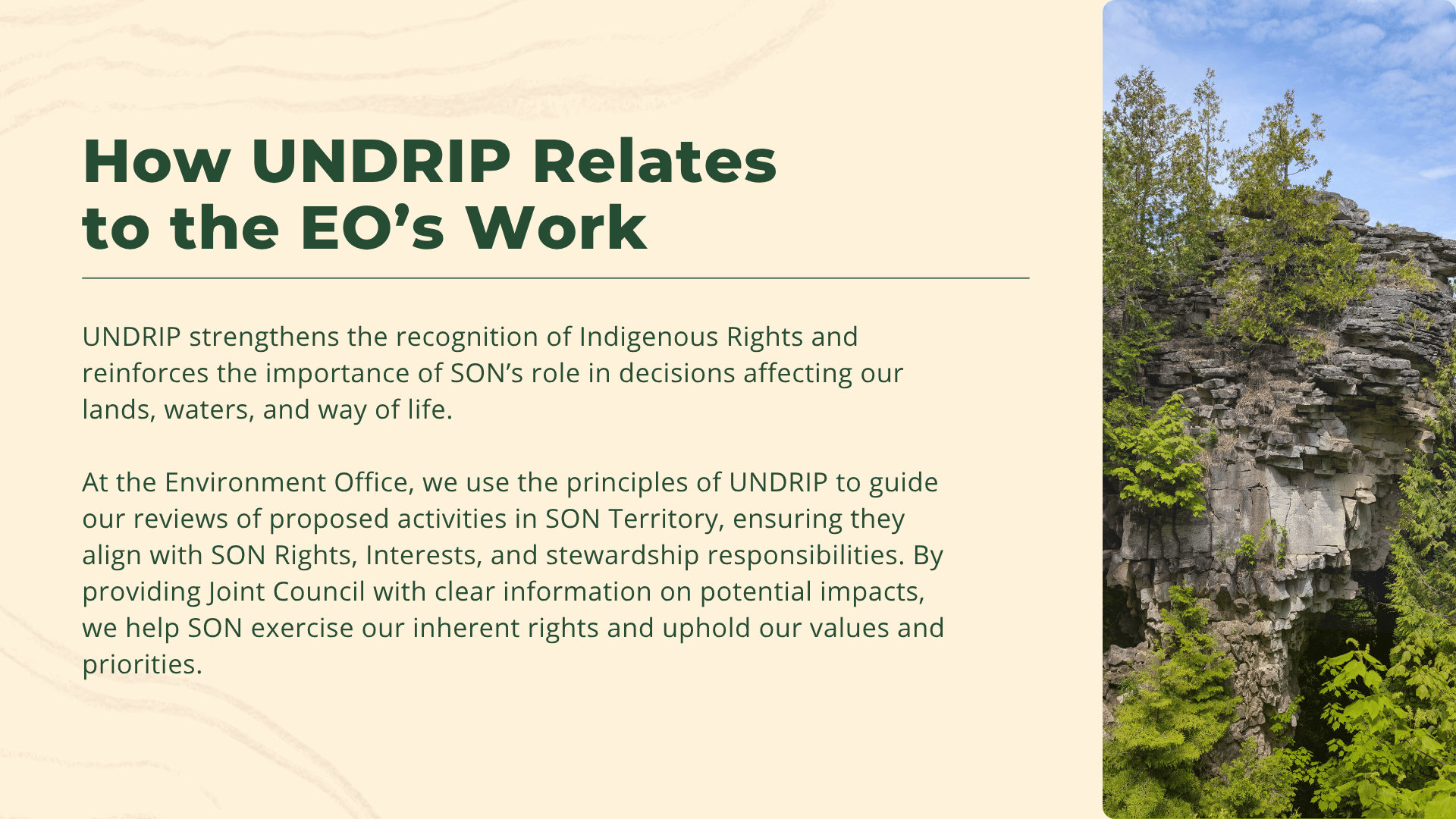 UNDRIP 5