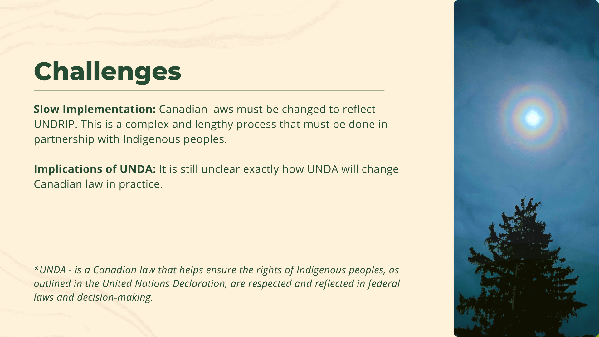 UNDRIP 6