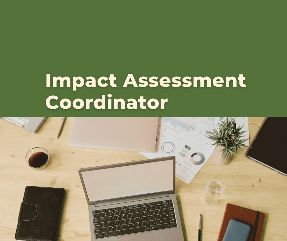 Impact Assessment Coordinator