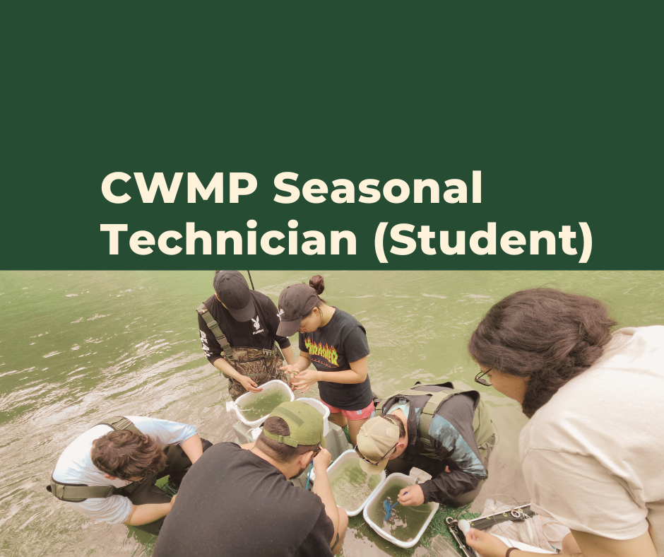 cwmp student