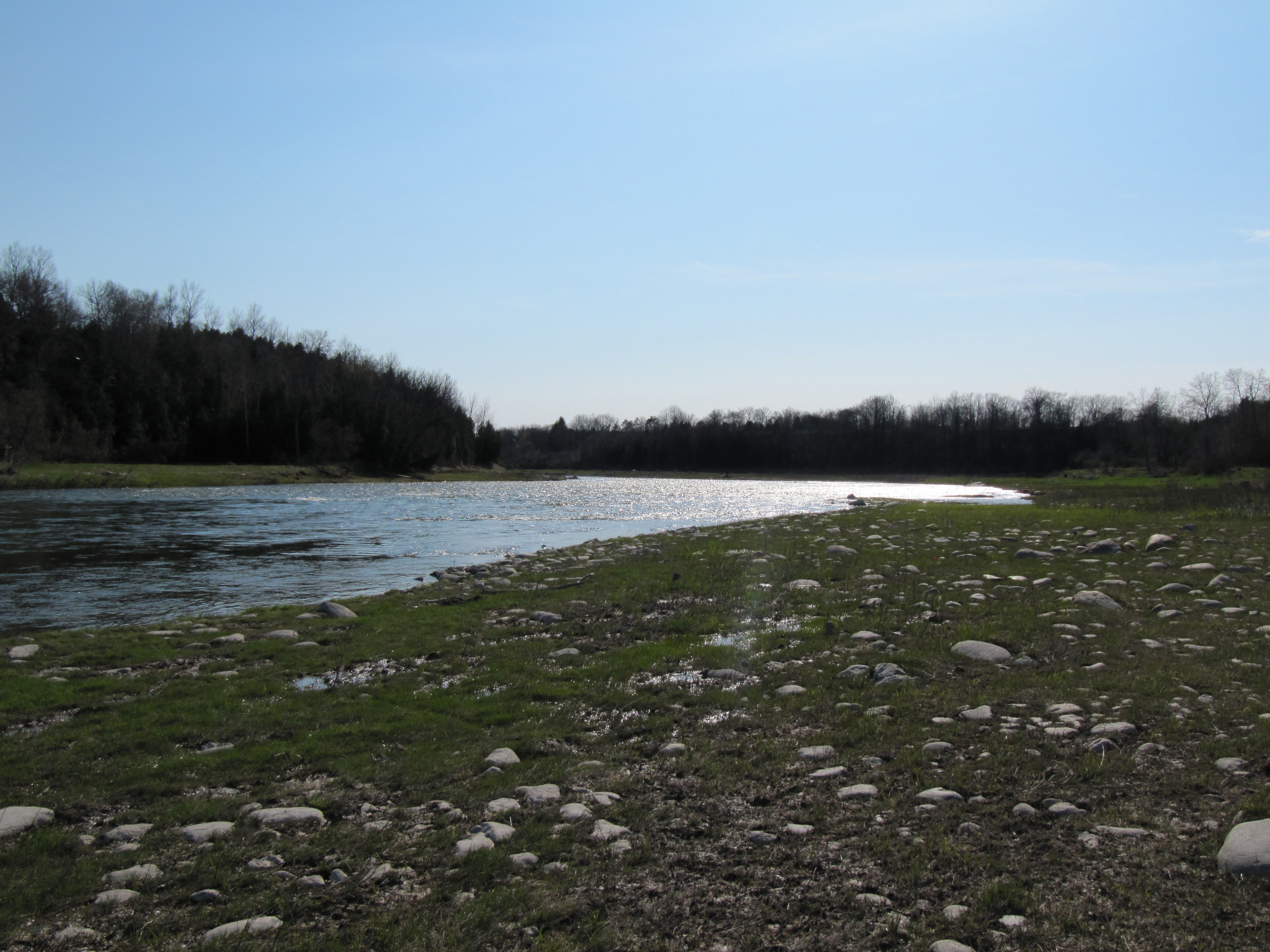 River Bank