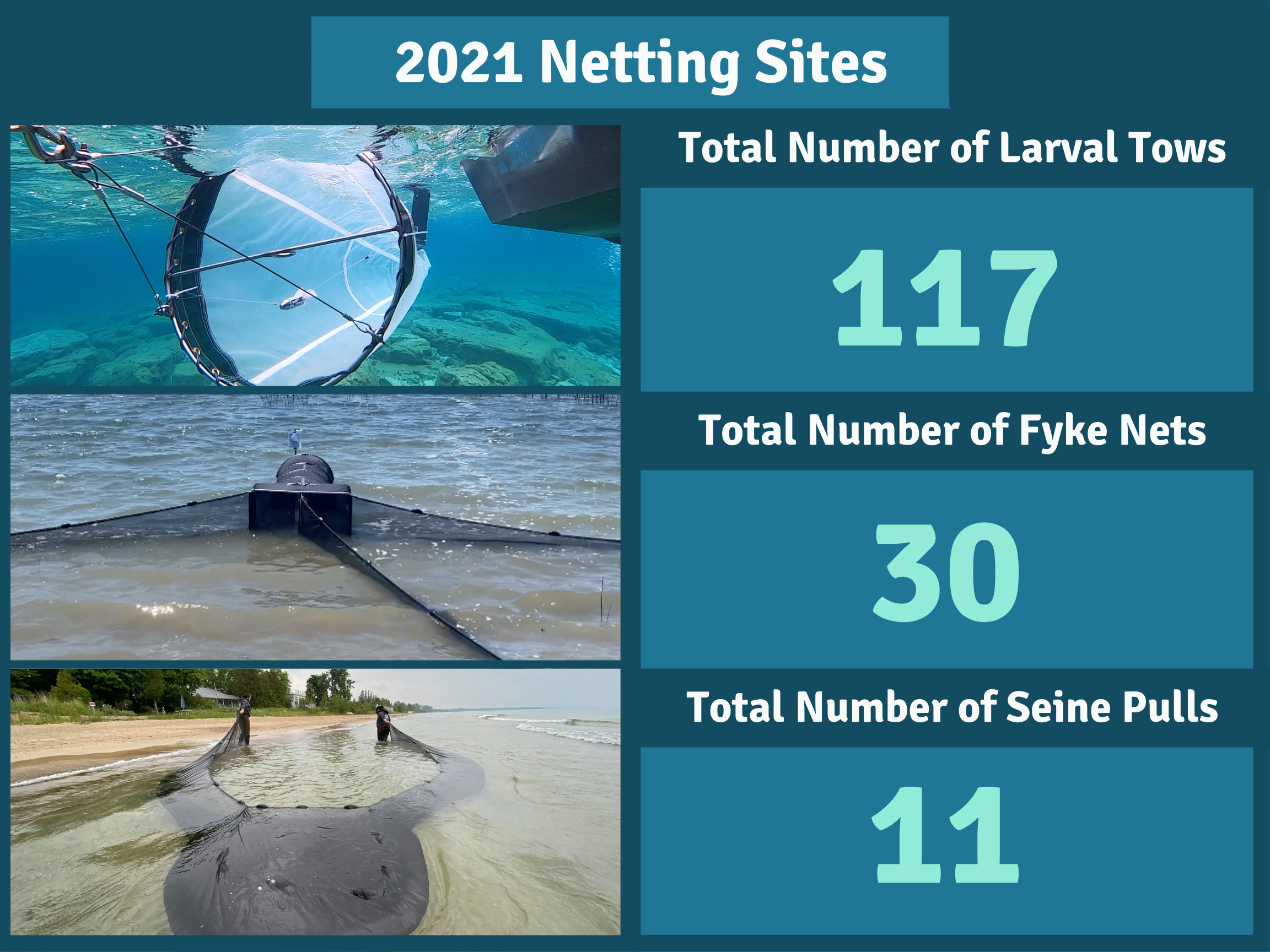 Photo Collage of different fishing nets. Title: 2021 Netting Sites. Total number of larval tows: 117. Total Number of Fyke Nets: 30. Total Number of Seine Pulls: 11.