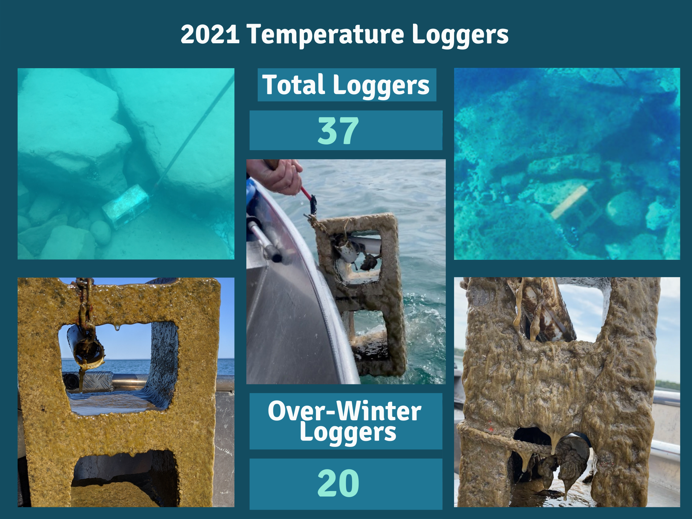 Collage showing temp loggers both in water and out. Title: 2021 Temperature Loggers. Total loggers: 37. Over-Winter Loggers 20.
