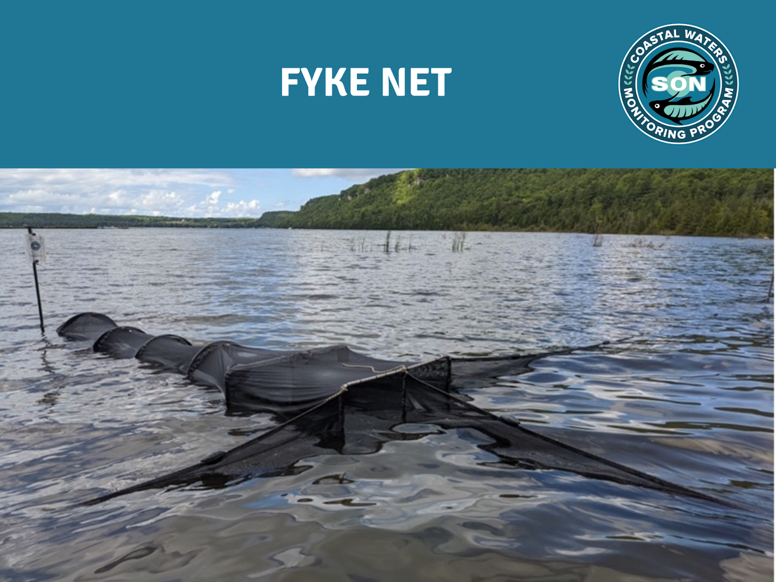 photo of a fyke net in water