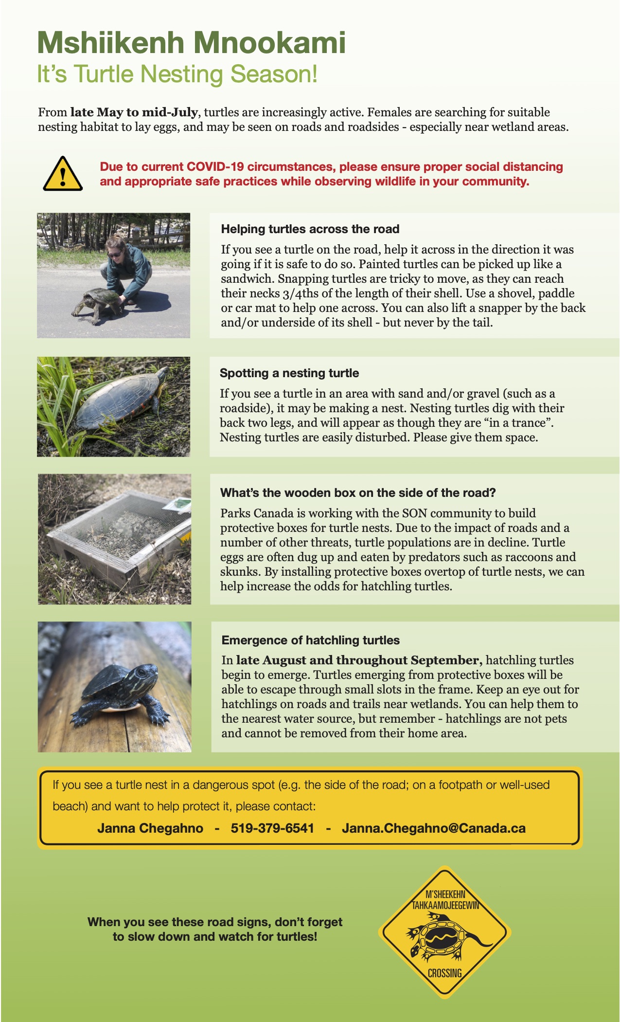 Turtle nesting box information