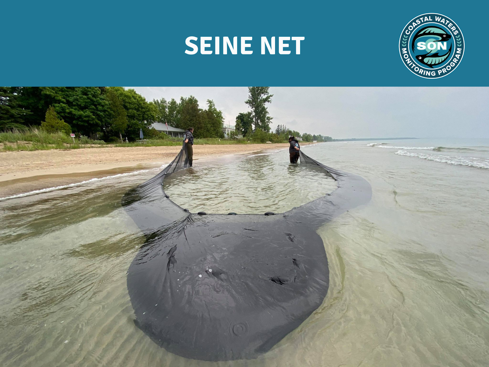 photo of siene net in water