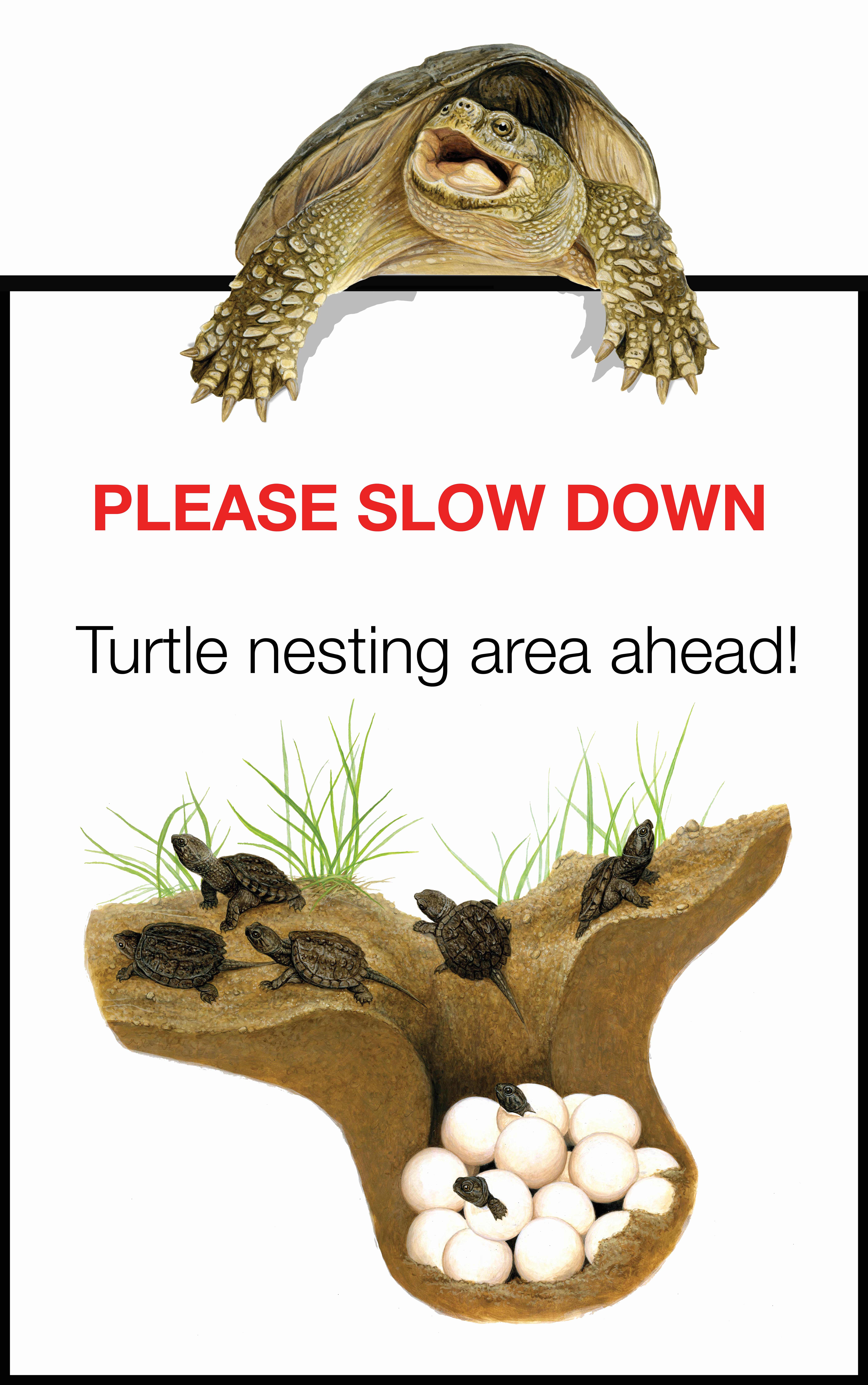 Turtle nesting sign