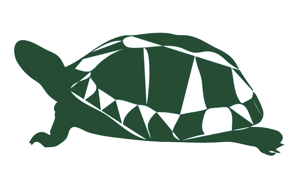 Stylized image of a turtle