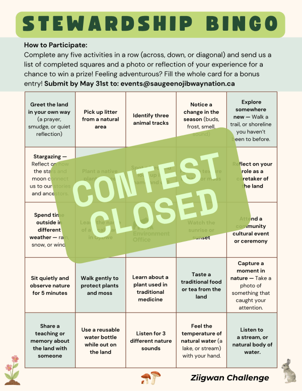 bingo closed