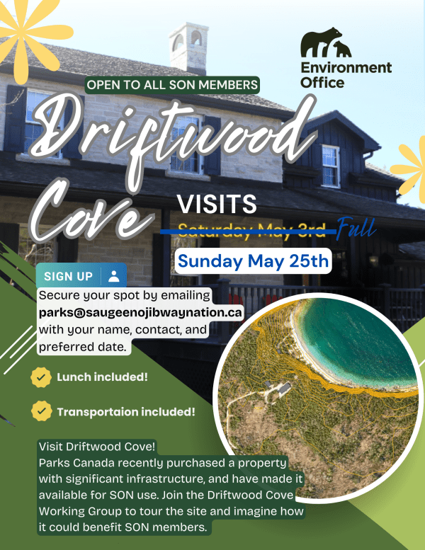 Driftwood Cove visits