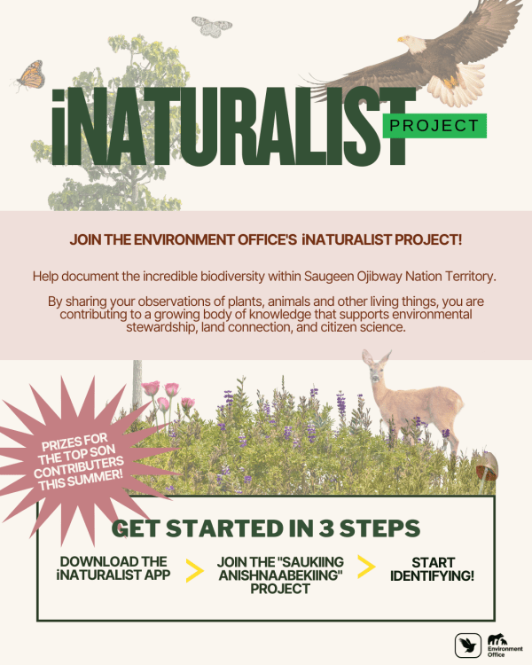 inaturalist project