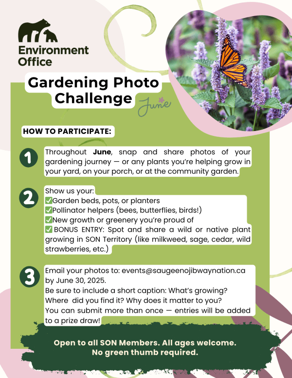 June Challenge
